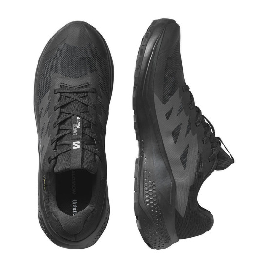 Salomon Alphaglide GTX Salomon Alphaglide GTX